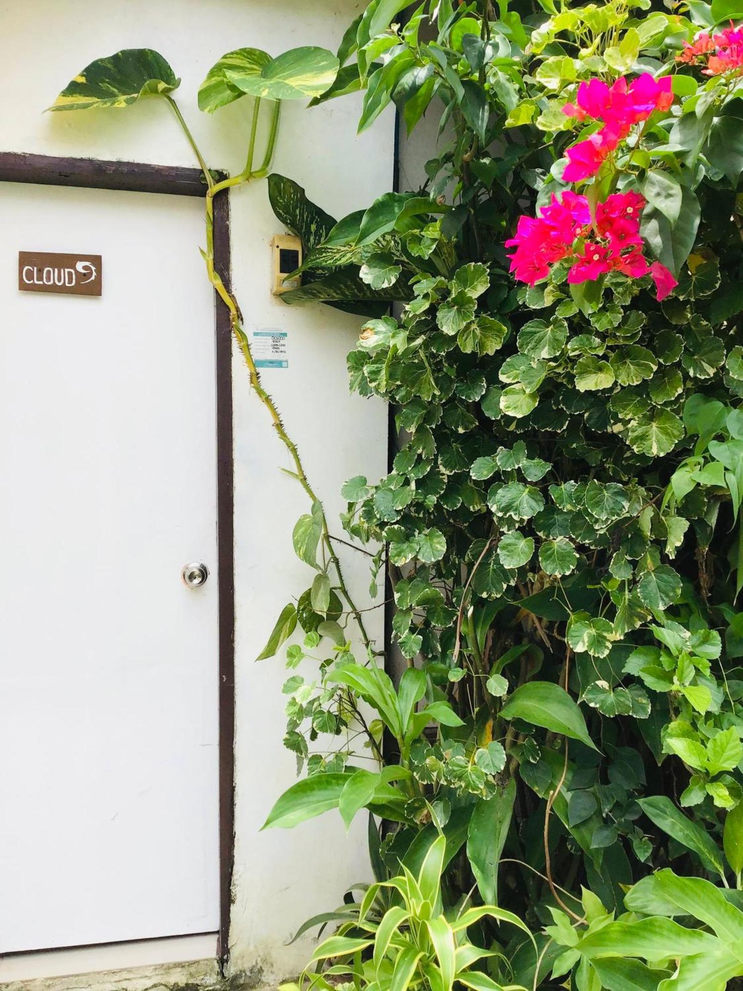Siargao Zita'S Garden Inn General Luna  Ngoại thất bức ảnh